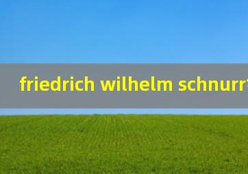 friedrich wilhelm schnurr钢琴家